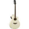 YAMAHA APX600 - Image 4